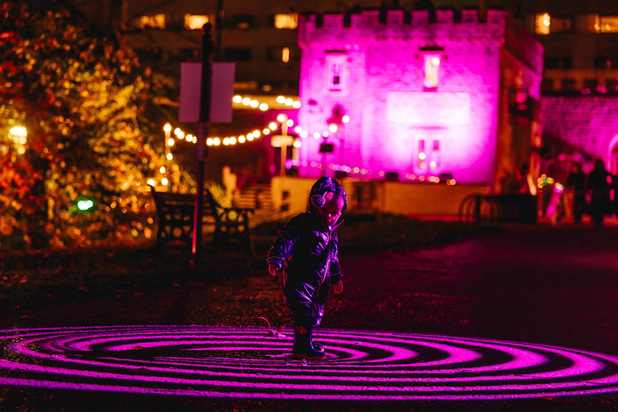 a little boy at christmas at bute park