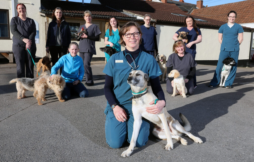 People posing with dogs outside a veterinary practice