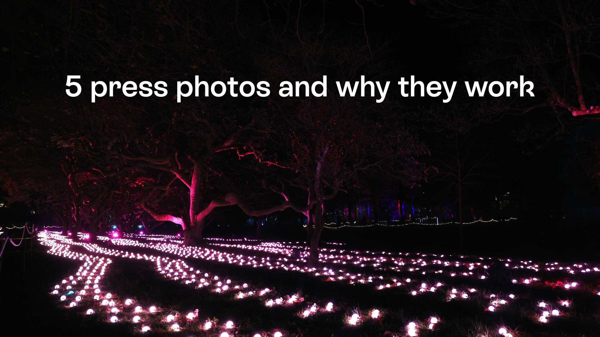 Photographer insights: what makes a great press photo?