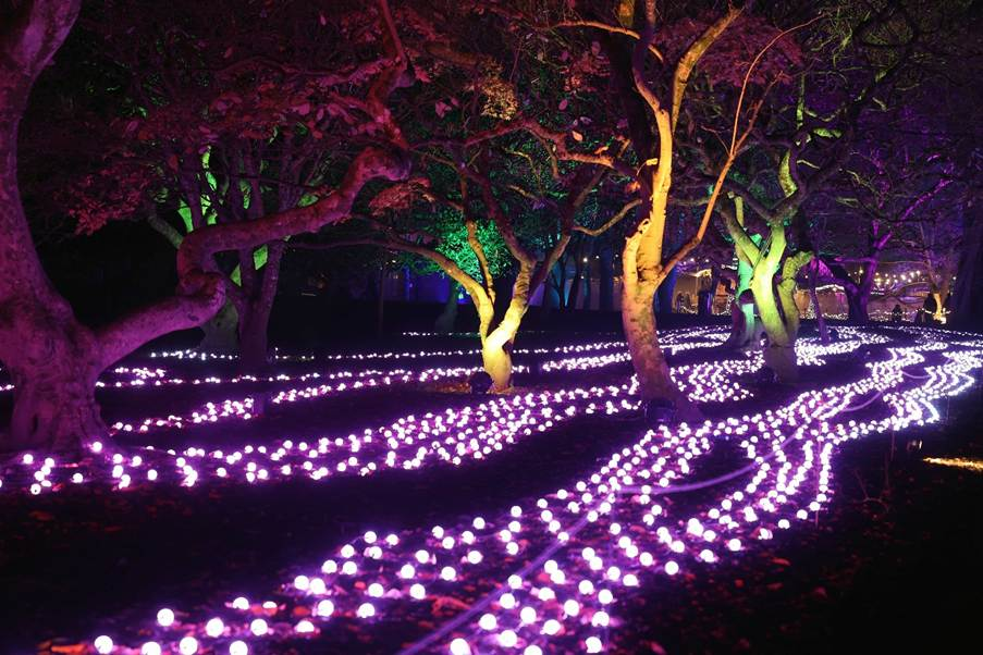 Front Door Communications celebrates sixth consecutive year working with Christmas at Bute Park